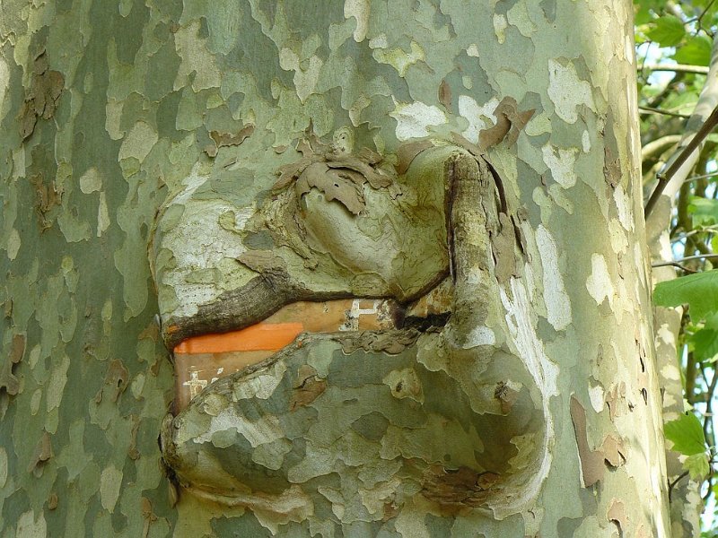 2008 05 Séjour à Martel 26